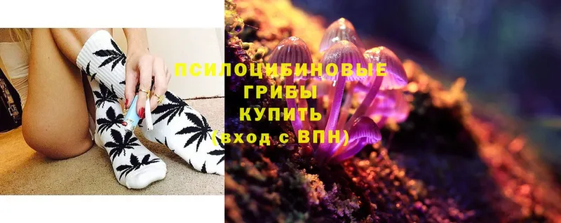 Псилоцибиновые грибы Magic Shrooms  где найти   Лысково 